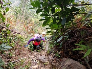 pic_Wai_057.jpg (657179 bytes)