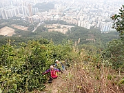 pic_Wai_064.jpg (670499 bytes)