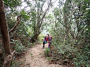 pic_Wai_066.jpg (741228 bytes)