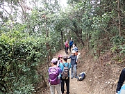 pic_Wai_067.jpg (778616 bytes)