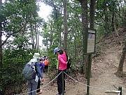pic_Wai_068.jpg (674380 bytes)