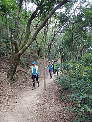 pic_Wai_072.jpg (728325 bytes)