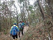 pic_Wai_075.jpg (581038 bytes)