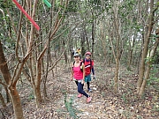 pic_Wai_076.jpg (578482 bytes)