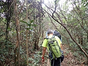 pic_Wai_077.jpg (744754 bytes)