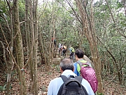 pic_Wai_078.jpg (683949 bytes)