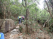 pic_Wai_079.jpg (601385 bytes)
