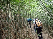 pic_Wai_080.jpg (519006 bytes)