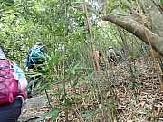 pic_Wai_081.jpg (587699 bytes)