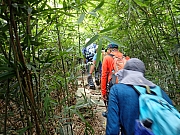 pic_Wai_082.jpg (553850 bytes)