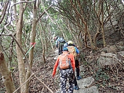pic_Wai_083.jpg (696415 bytes)