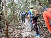 pic_Wai_084.jpg (585286 bytes)