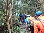 pic_Wai_085.jpg (615821 bytes)
