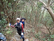 pic_Wai_086.jpg (678045 bytes)