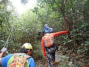 pic_Wai_088.jpg (648356 bytes)