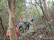pic_Wai_089.jpg (687764 bytes)