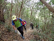 pic_Wai_091.jpg (719560 bytes)