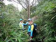 pic_Wai_106.jpg (671767 bytes)