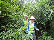 pic_Wai_107.jpg (614053 bytes)