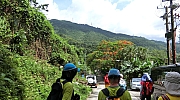 Thumbnail of pic_Victor_Cheng_009.jpg