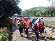 pic_Wai_003.jpg (604633 bytes)