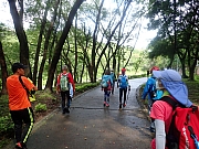 pic_Wai_004.jpg (608751 bytes)