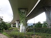 pic_Wai_006.jpg (468722 bytes)