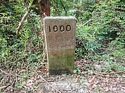 pic_Wai_010.jpg (865348 bytes)
