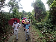 pic_Wai_011.jpg (632854 bytes)