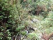 pic_Wai_015.jpg (846611 bytes)
