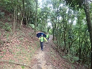 pic_Wai_017.jpg (675147 bytes)