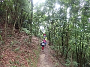 pic_Wai_018.jpg (674597 bytes)