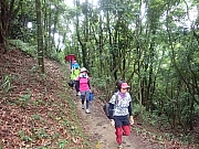 pic_Wai_019.jpg (666347 bytes)