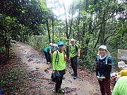 pic_Wai_020.jpg (638241 bytes)