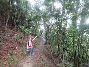 pic_Wai_025.jpg (628012 bytes)