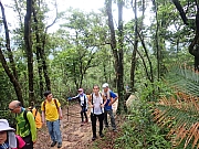 pic_Wai_026.jpg (788947 bytes)