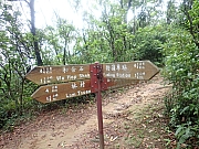 pic_Wai_027.jpg (724513 bytes)