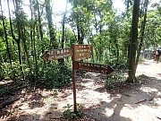 pic_Wai_028.jpg (797258 bytes)