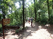 pic_Wai_029.jpg (767929 bytes)