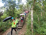 pic_Wai_038.jpg (834548 bytes)