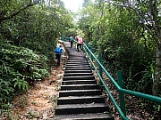 pic_Wai_039.jpg (775663 bytes)