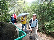 pic_Wai_042.jpg (707536 bytes)