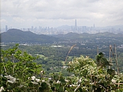 pic_Wai_044.jpg (385632 bytes)