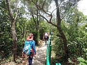 pic_Wai_045.jpg (874408 bytes)