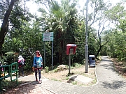 pic_Wai_046.jpg (772787 bytes)