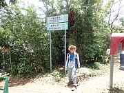pic_Wai_047.jpg (730944 bytes)