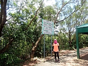 pic_Wai_048.jpg (840900 bytes)