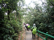 pic_Wai_054.jpg (757020 bytes)
