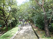 pic_Wai_065.jpg (803649 bytes)