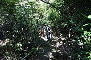 Thumbnail of pic_Friend_165.jpg